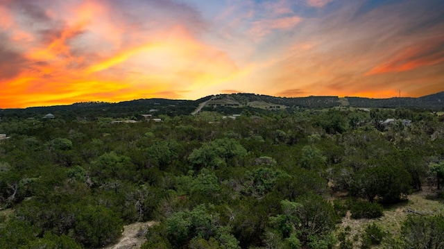 Listing photo 3 for TBD Windy Hills Rd, Dripping Springs TX 78620