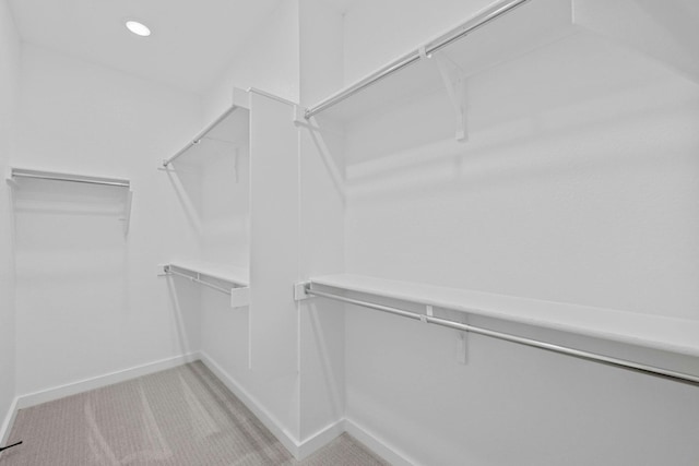 spacious closet with light colored carpet