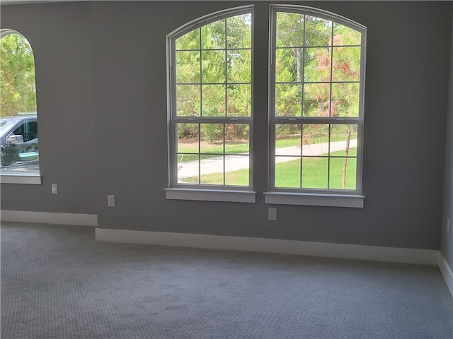 carpeted empty room with plenty of natural light