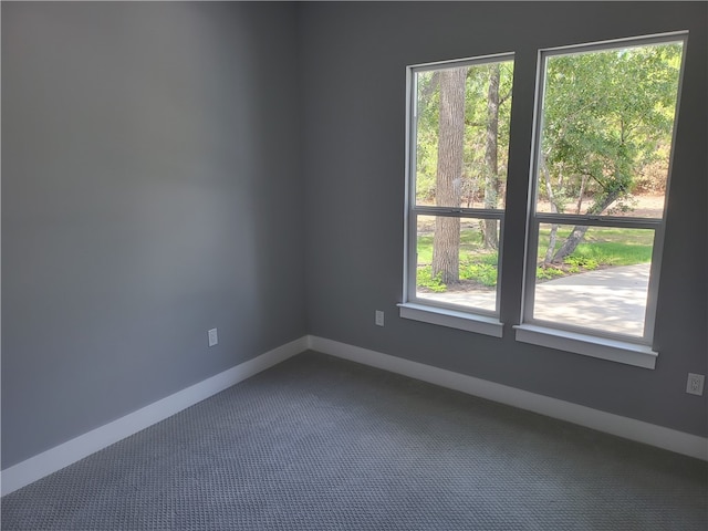 carpeted spare room featuring a wealth of natural light