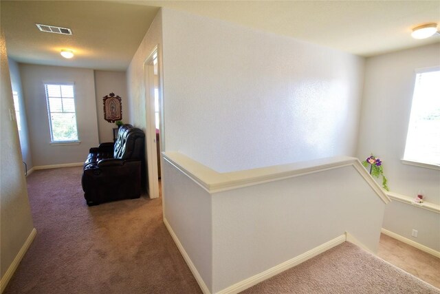 146 Silo St, San Marcos, TX 78666 - photo 15