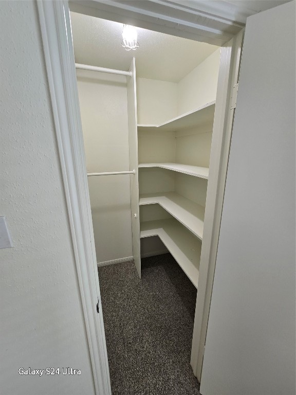 walk in closet featuring carpet