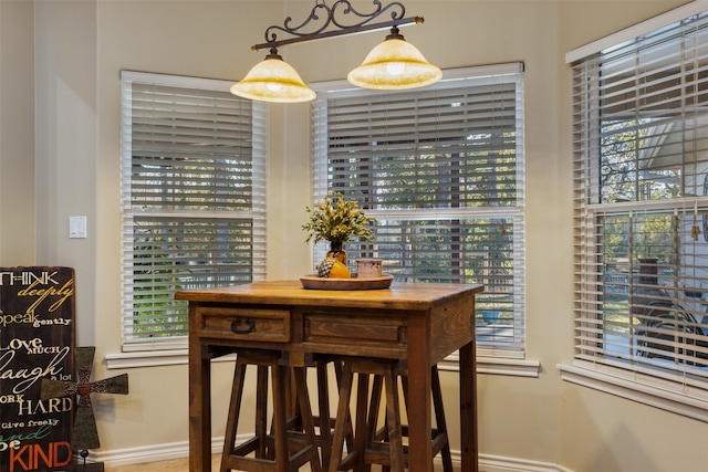 dining room with a wealth of natural light