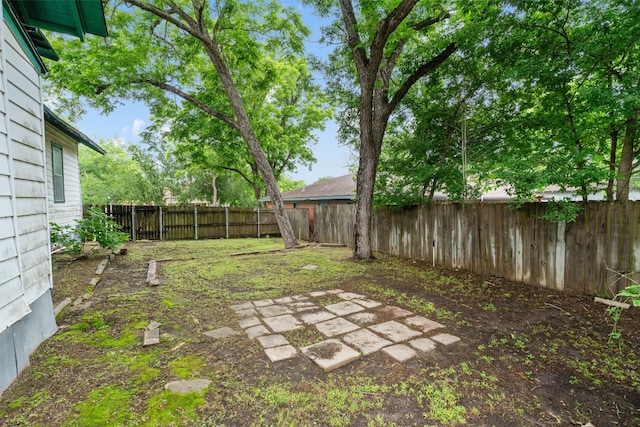 view of yard featuring a patio area