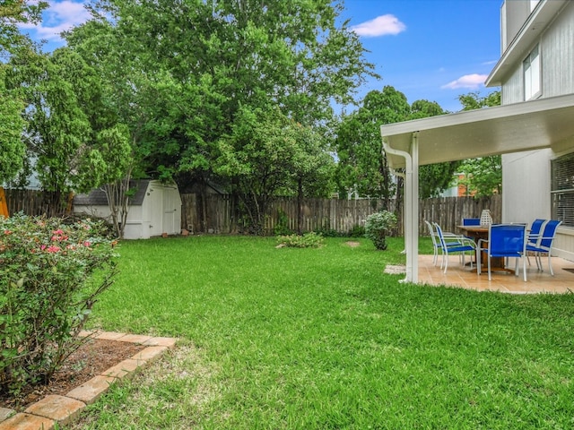 view of yard featuring a storage unit and a patio area