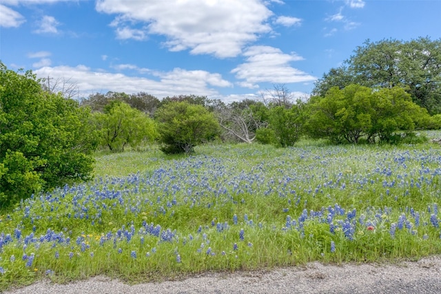 K1166 Mountain Dew Rd, Horseshoe Bay TX, 78657 land for sale