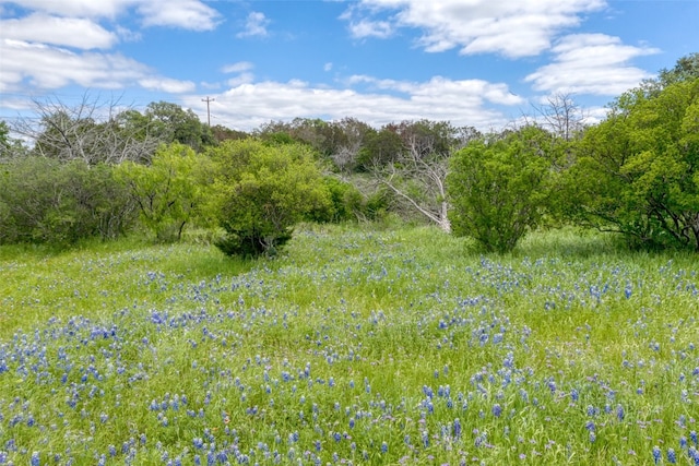 Listing photo 2 for K1166 Mountain Dew Rd, Horseshoe Bay TX 78657