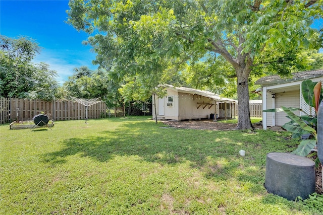 view of yard with a shed