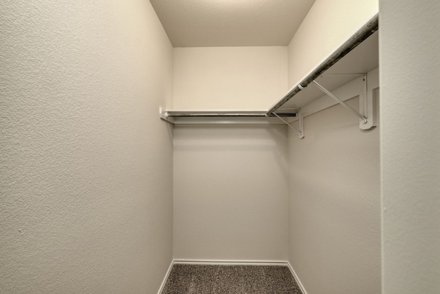 spacious closet featuring carpet