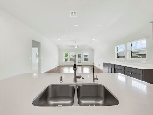 kitchen featuring a healthy amount of sunlight, sink, lofted ceiling, and wood-type flooring