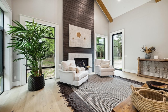 sitting room featuring a large fireplace, high vaulted ceiling, light wood-type flooring, and plenty of natural light