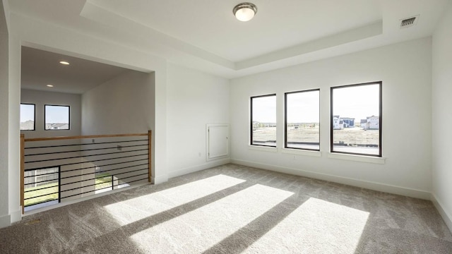 spare room featuring a raised ceiling, light carpet, and a wealth of natural light