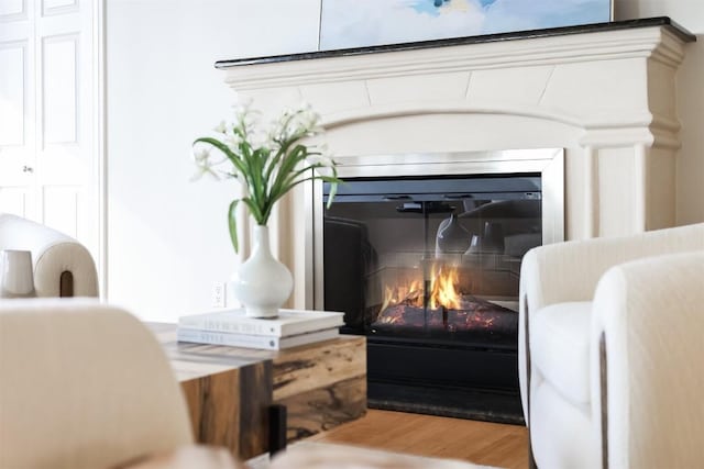 details featuring a glass covered fireplace and wood finished floors