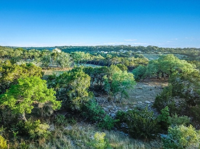 Listing photo 2 for 509 Greystone Rd, Dripping Springs TX 78620