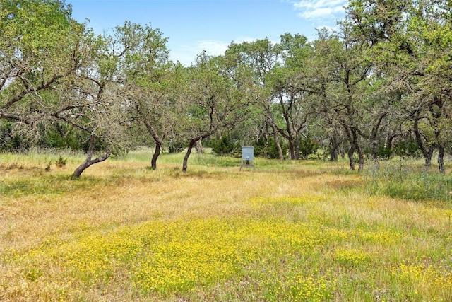 view of local wilderness
