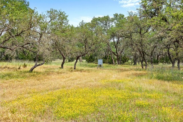 426 Preiss Ranch Rd, Blanco, TX 78606 - photo 36