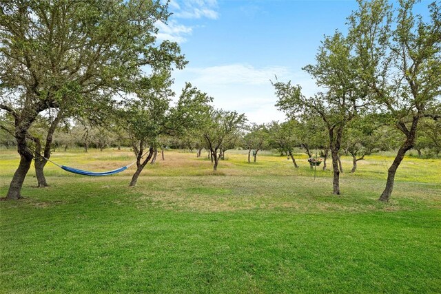 view of community featuring a lawn