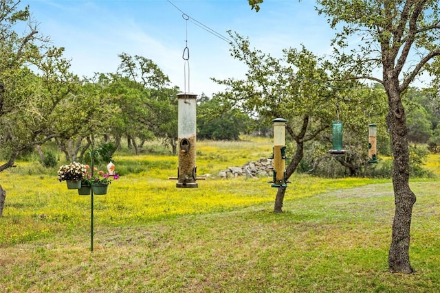 view of community