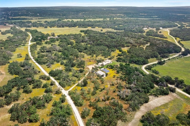 426 Preiss Ranch Rd, Blanco, TX 78606 - photo 38