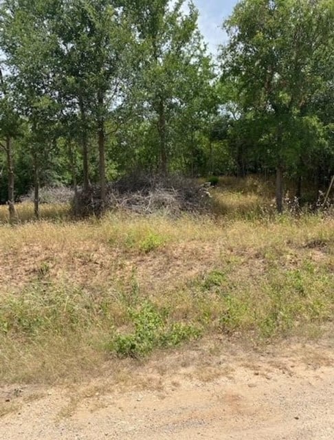 108 W Kikipua Ln, Bastrop TX, 78602 land for sale