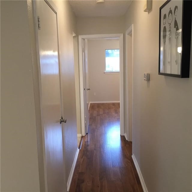 corridor with dark hardwood / wood-style floors