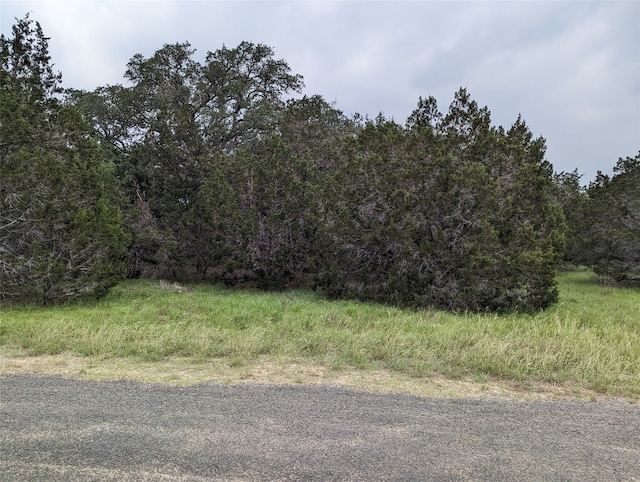 73 E Valley Spring Rd, Wimberley TX, 78676 land for sale