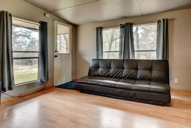 living room with a healthy amount of sunlight and hardwood / wood-style floors