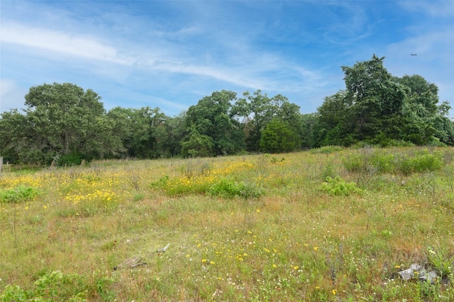 view of local wilderness