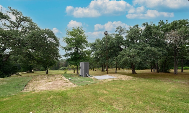 view of yard featuring a shed