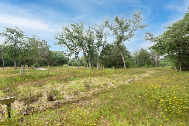 view of yard featuring a rural view