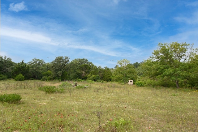 view of local wilderness