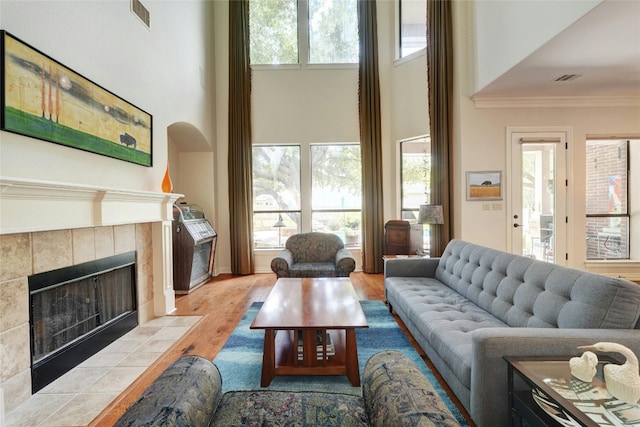 living room featuring a fireplace, ornamental molding, light hardwood / wood-style floors, and a healthy amount of sunlight