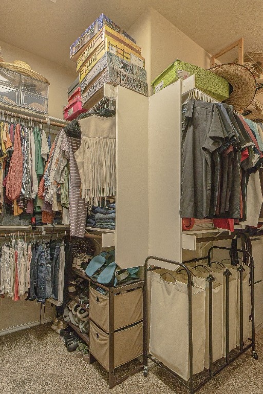 spacious closet featuring carpet