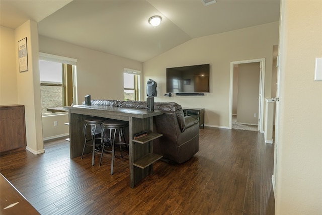 living room featuring lofted ceiling and dark hardwood / wood-style flooring