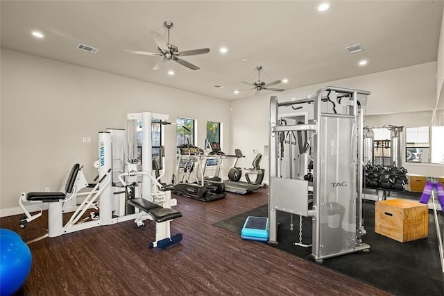 exercise room with ceiling fan and hardwood / wood-style floors