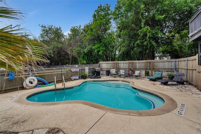 view of pool featuring a patio