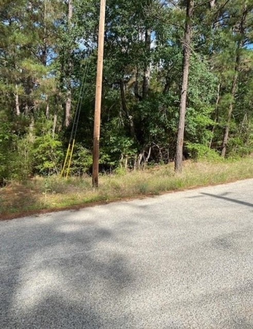 LOT93 Papawai Dr, Bastrop TX, 78602 land for sale