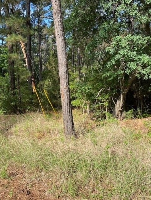 Listing photo 2 for LOT93 Papawai Dr, Bastrop TX 78602