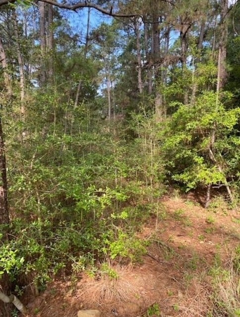 Listing photo 3 for LOT93 Papawai Dr, Bastrop TX 78602