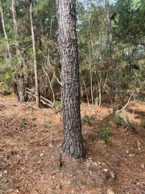 LOT345 Wainee Dr, Bastrop TX, 78602 land for sale