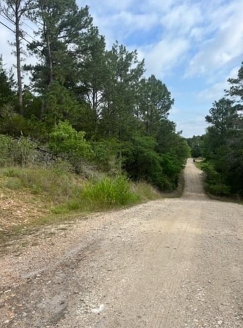 Listing photo 2 for LOT345 Wainee Dr, Bastrop TX 78602