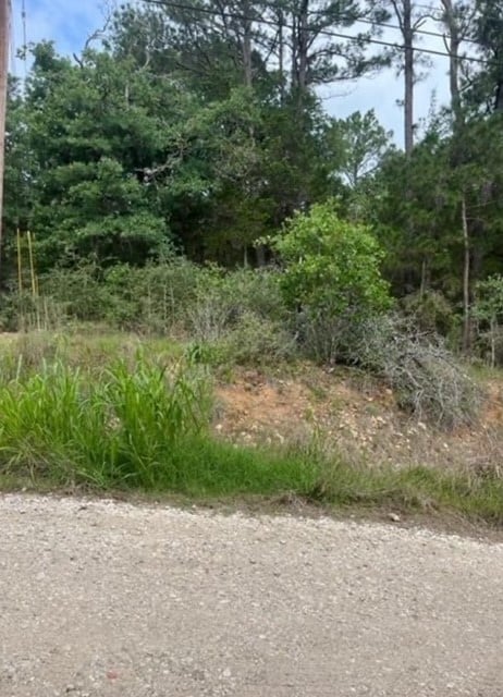 Listing photo 3 for LOT345 Wainee Dr, Bastrop TX 78602