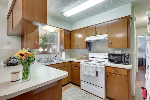 kitchen featuring sink, light hardwood / wood-style flooring, a textured ceiling, and white electric range oven