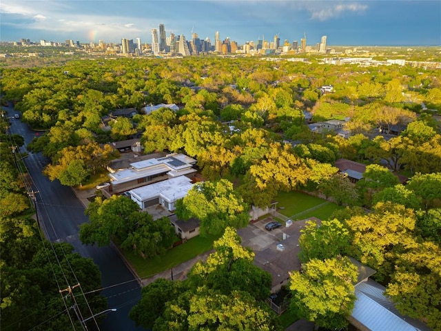 bird's eye view