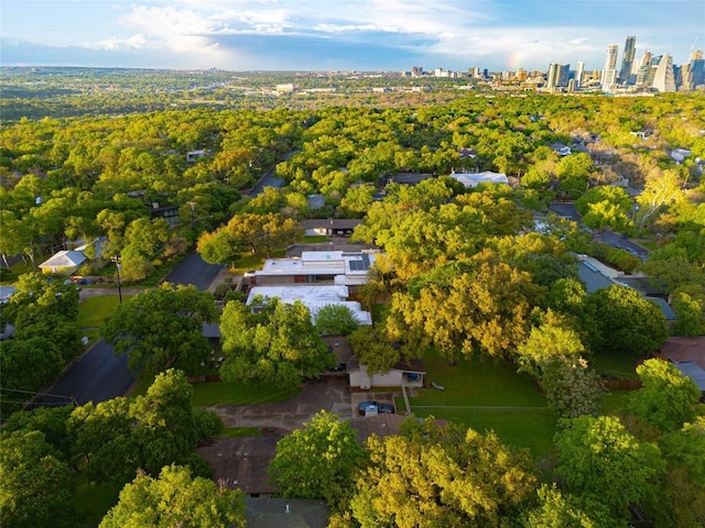 bird's eye view