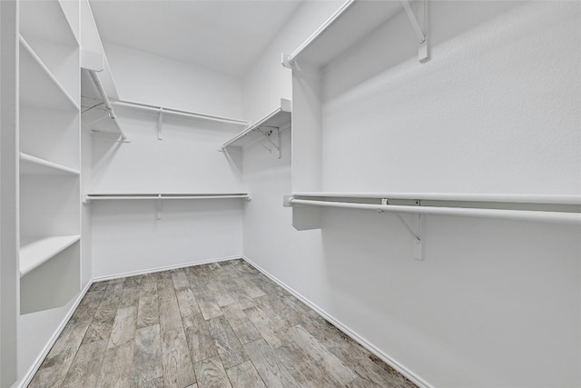 spacious closet with hardwood / wood-style flooring