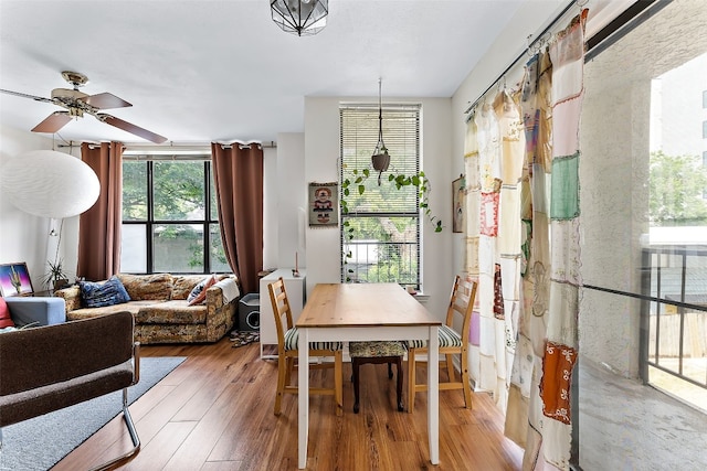 dining room with light hardwood / wood-style floors and ceiling fan