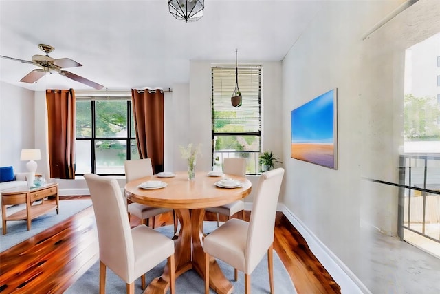 dining area with ceiling fan and wood-type flooring