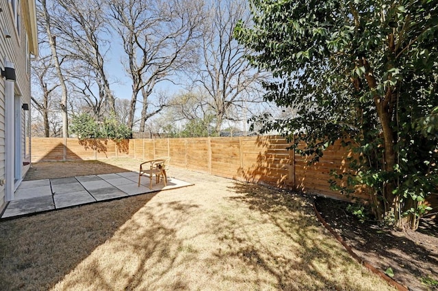 view of yard with a patio and a fenced backyard