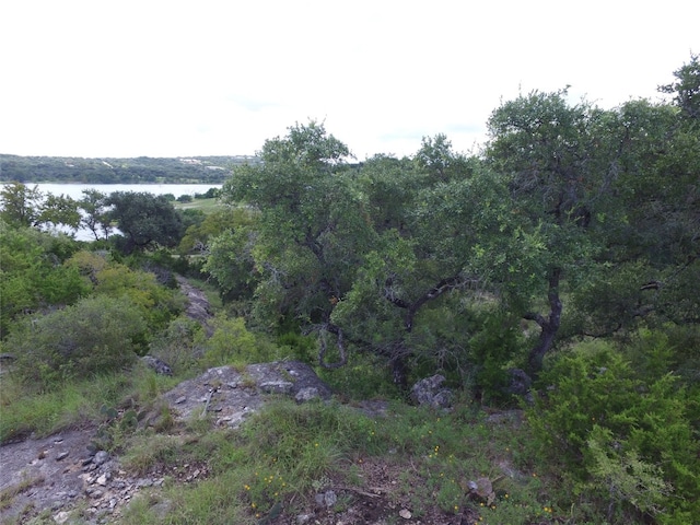 Listing photo 3 for 1516 Ensenada Dr, Canyon Lake TX 78133